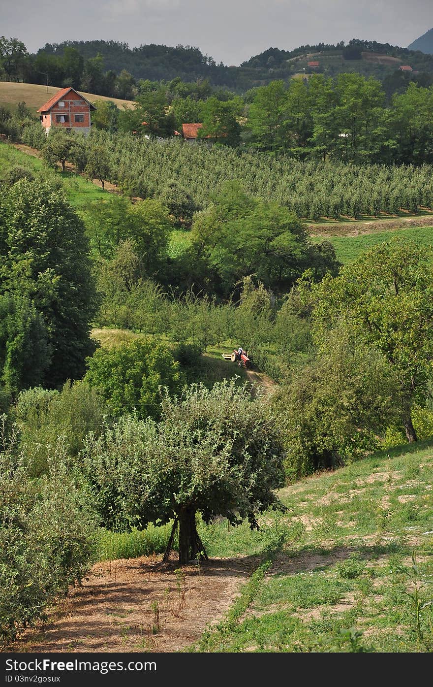 Landscape near Arilje. ItÂ´s a city which is situated aproximately 200 kilometres south from Belgrade. Landscape near Arilje. ItÂ´s a city which is situated aproximately 200 kilometres south from Belgrade.