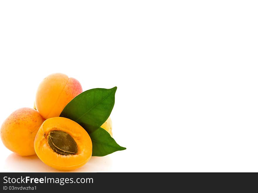 Apricot on white background