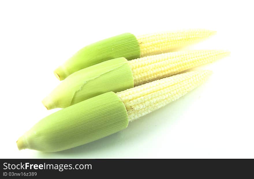 Baby corns shot on white background.