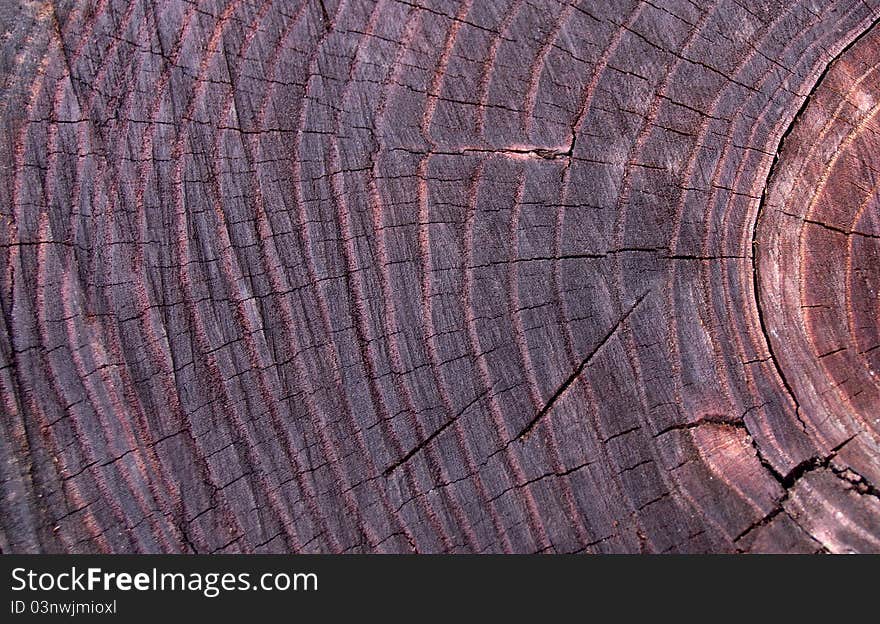 Wooden cut texture