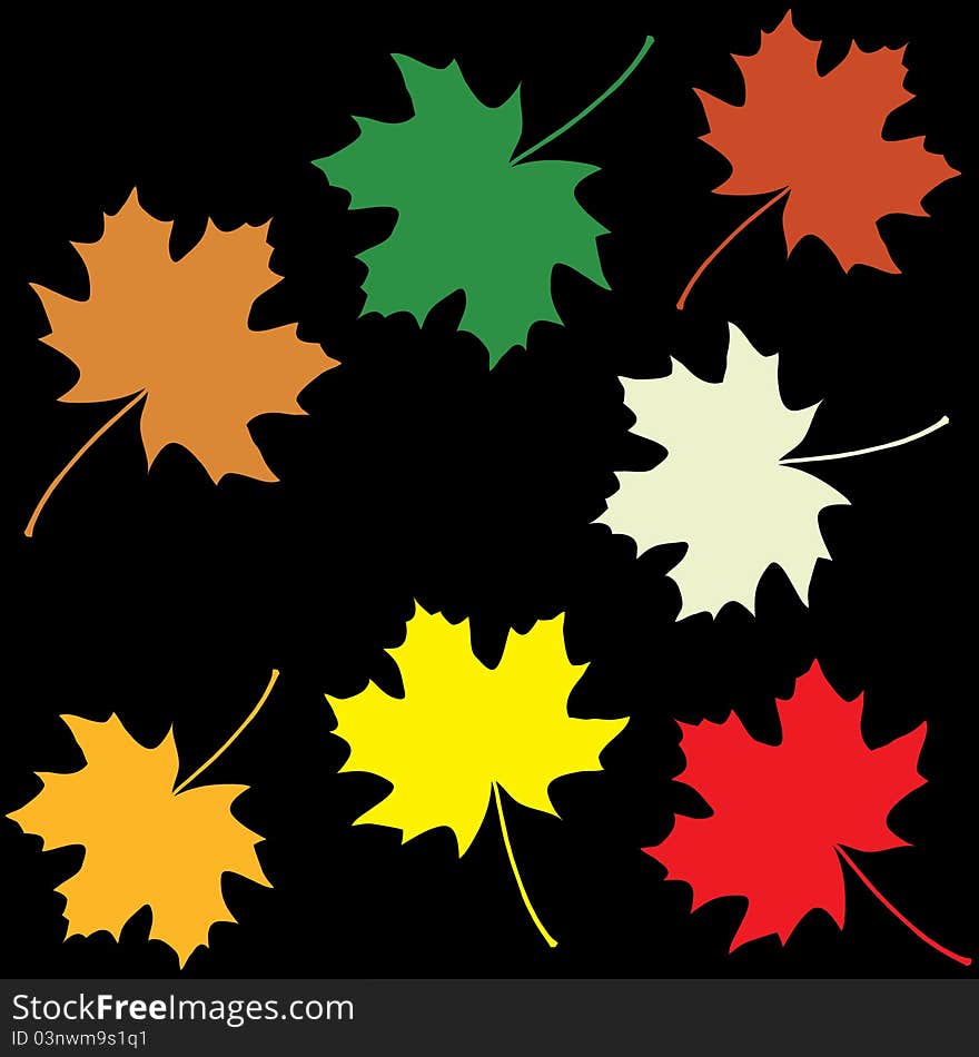 Set of colorful maple leaves