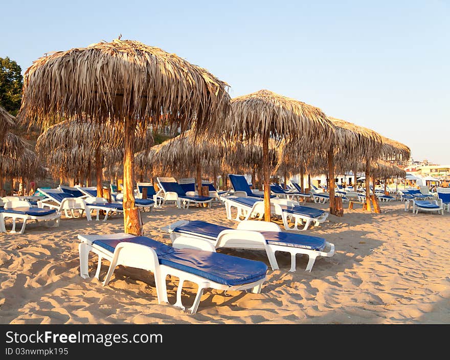 Beach With Palms Umbrella And Chairs