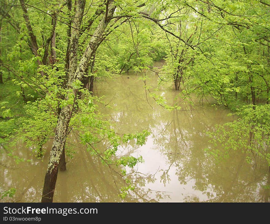 A little creek on a hill that got flooded. A little creek on a hill that got flooded