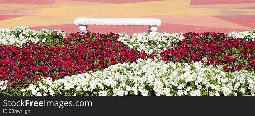 Garden bench and flowers