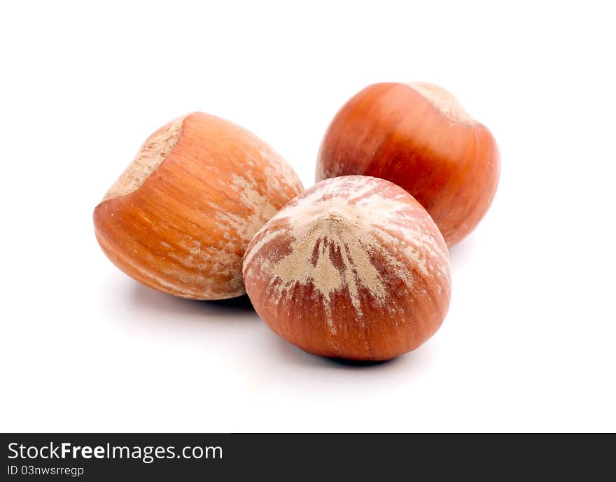 Studio shot of hazelnuts composition on white background