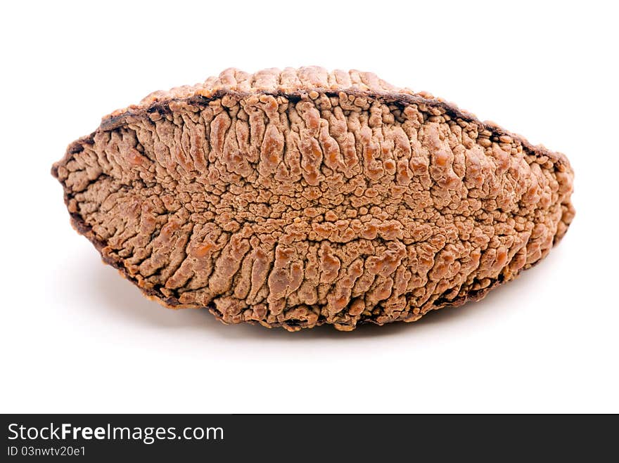 Studio shot of brazil nut on white background