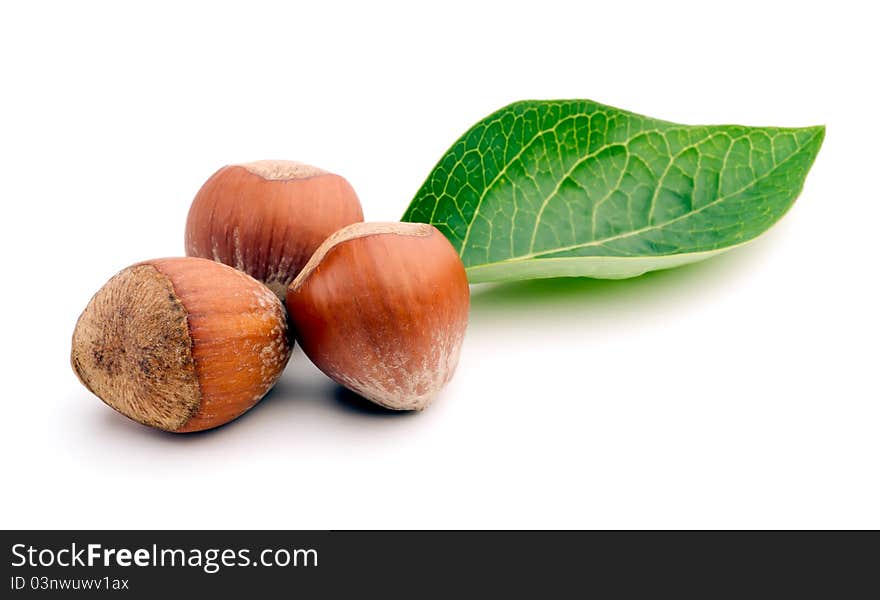 Studio shot of Hazelnuts Composition on white background