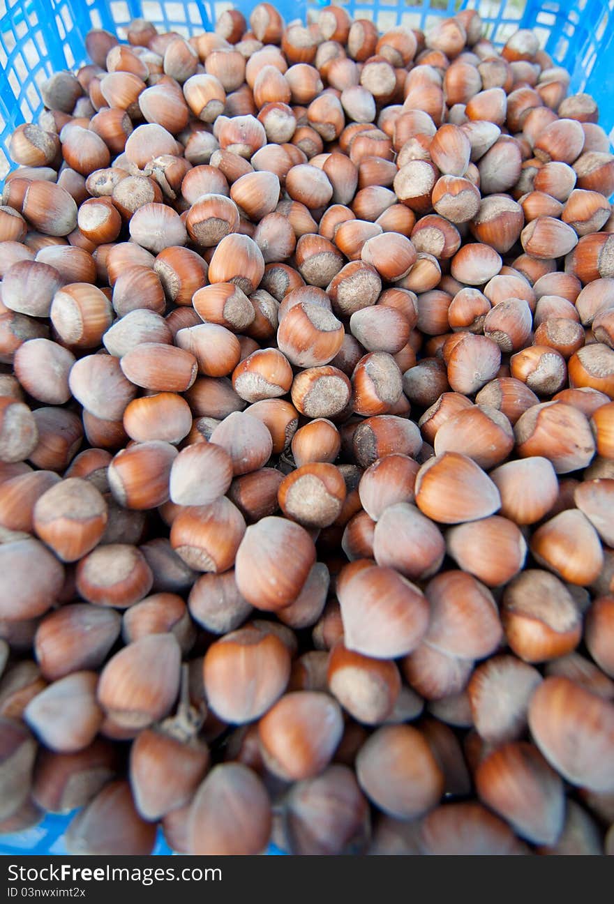 Large stack of brown hazelnuts. Large stack of brown hazelnuts