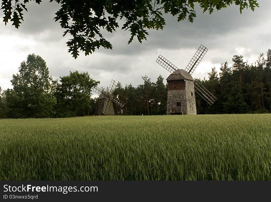 Two Old Windmills In The Field Of Corn