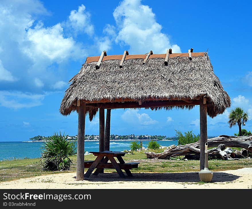 Thatched Roof Tiki Hut