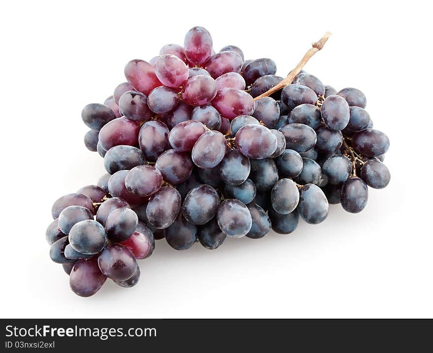 Branch of black grapes on white background