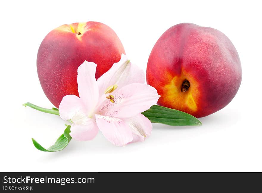 Two peaches and alstroemeria on white background