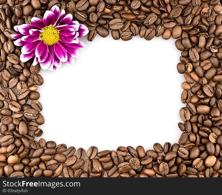 Frame made of coffee beans and chrysanthemums