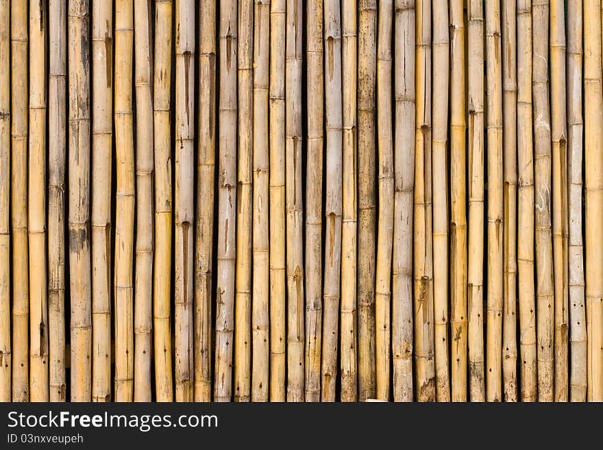 Bamboo wall