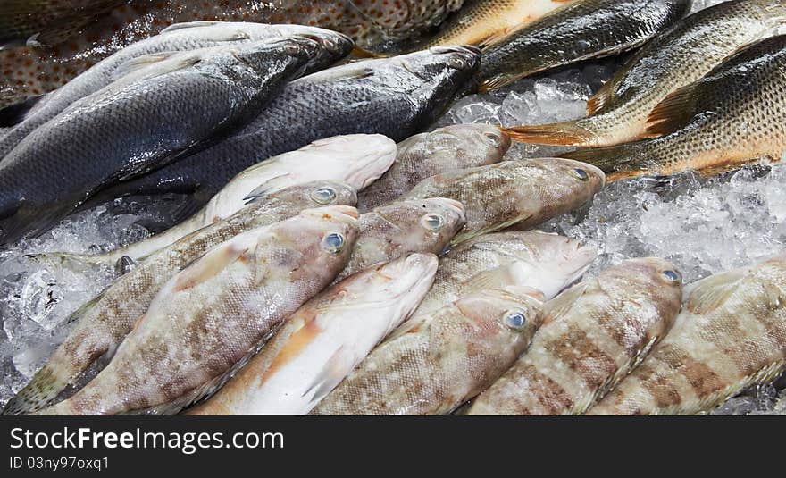 Fishes at market