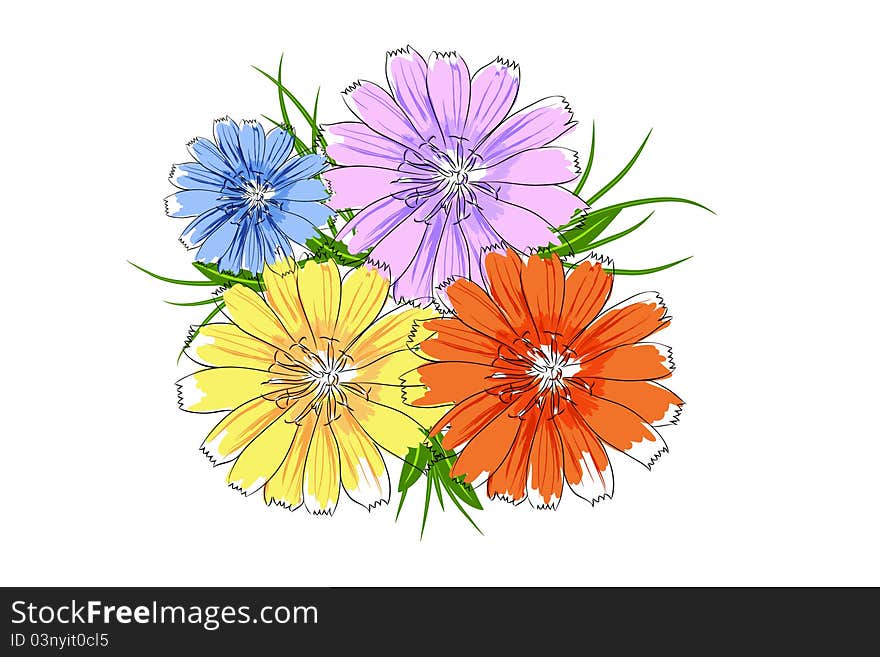 Beautiful bright colorful flowers ( illustration). Beautiful bright colorful flowers ( illustration)