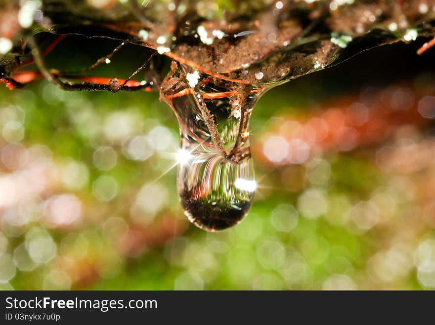 Macro picture of a drop of water