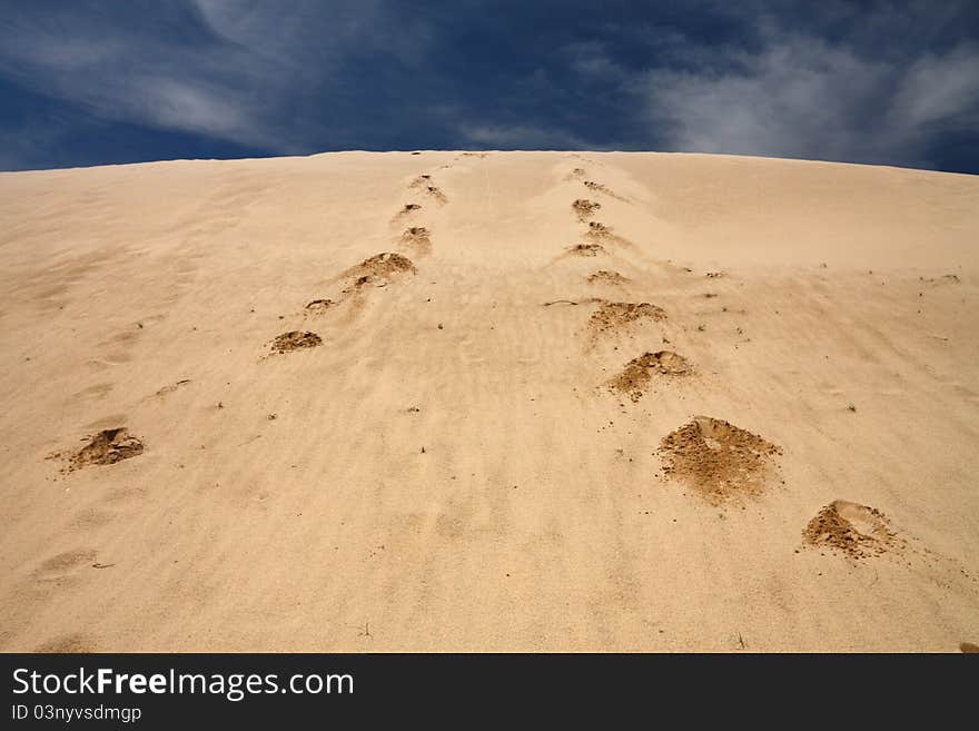 Footprints in sand dune