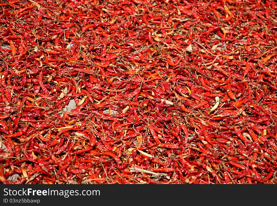 Red chilli peppers drying on the sun - Vietnam