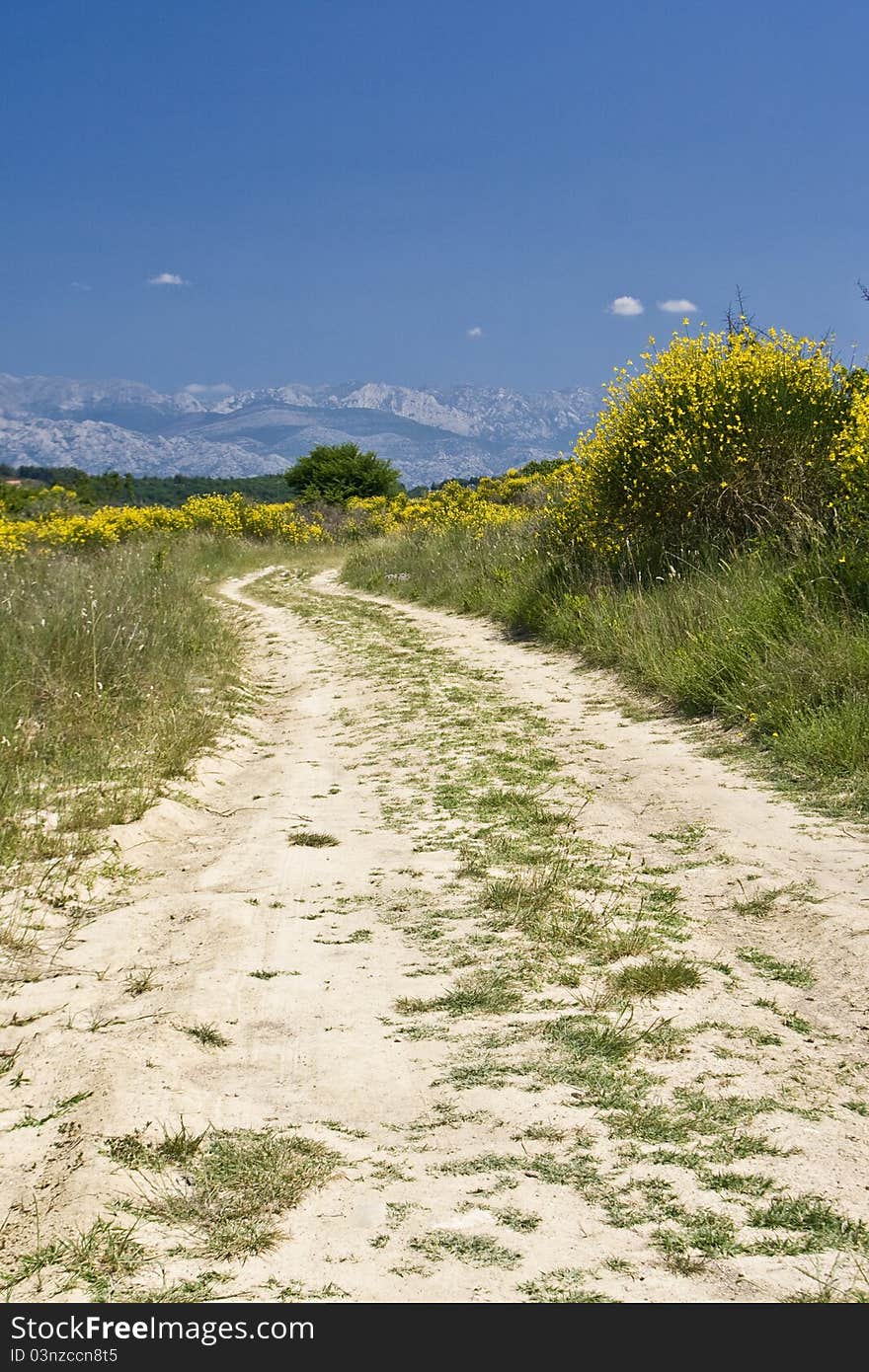 Dusty Road In The Field