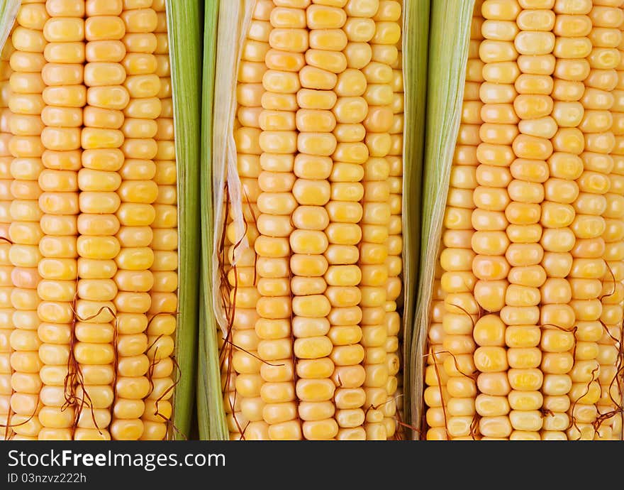 Corn cob with green leaves close up. Corn cob with green leaves close up.