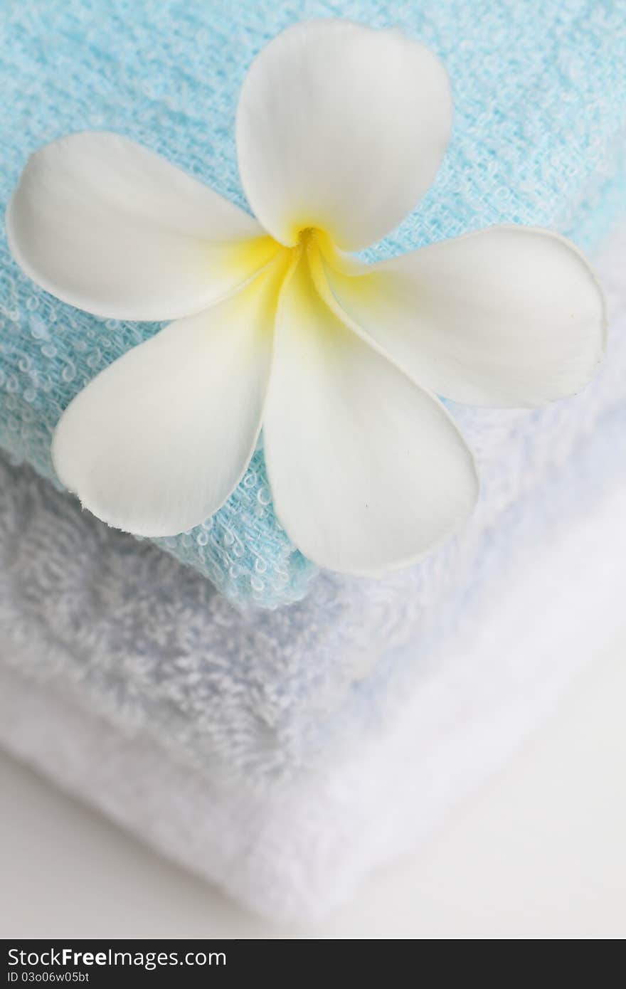 Set of towel and plumeria flower. Set of towel and plumeria flower