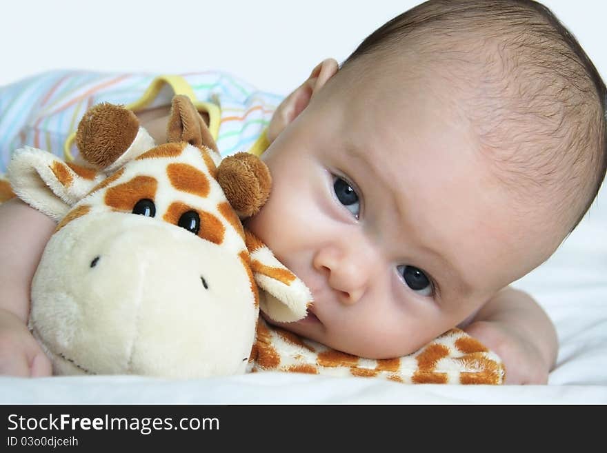 Beautiful little boy with his toy. Beautiful little boy with his toy