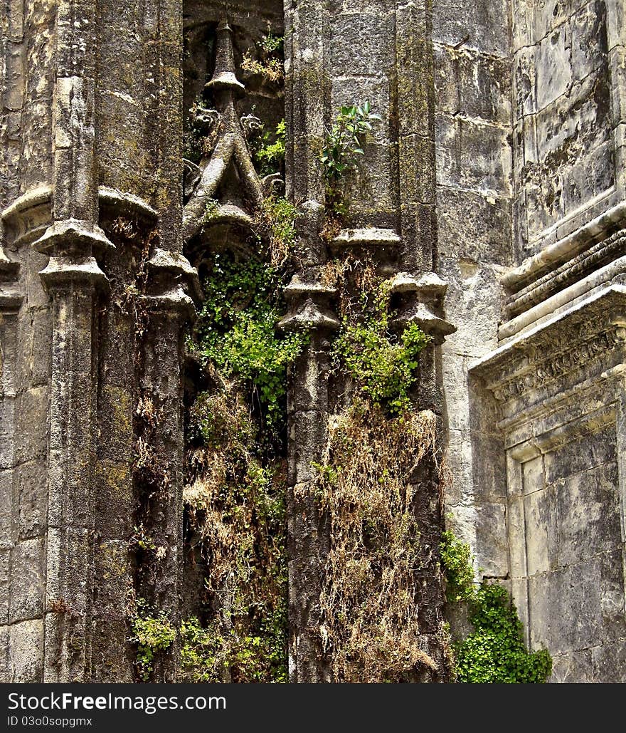 Overgrown wall of Seville Cathedral