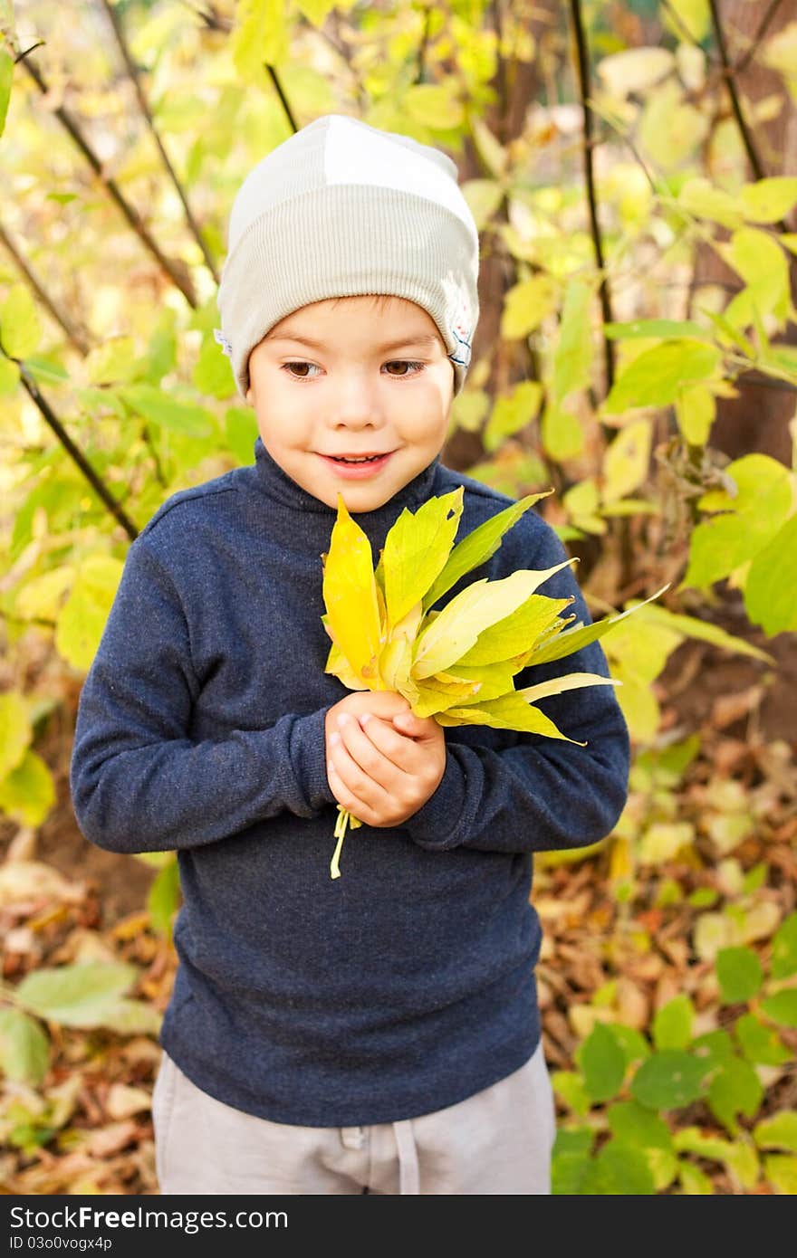 Little happy boy walking in autumnal park