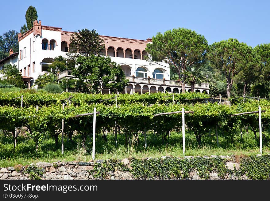 Tuscany, Italy. Italian luxury villa in the country, close to a Lambrusco vineyard. Tuscany, Italy. Italian luxury villa in the country, close to a Lambrusco vineyard