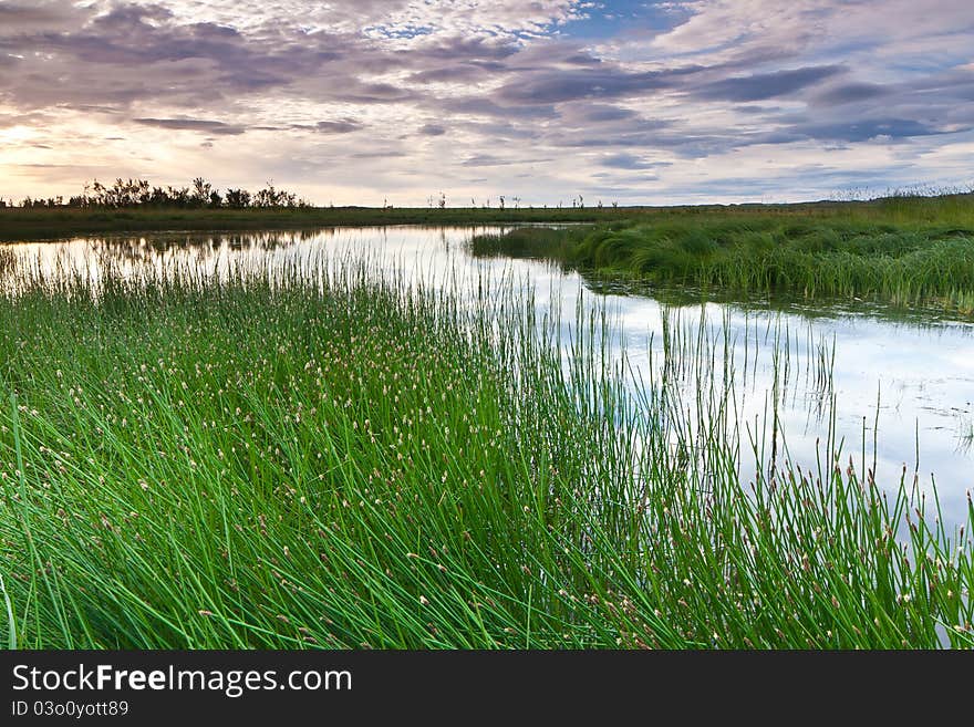 Small pond near Akranes town in west part of Iceland. - Sun was shining through the clouds pointing down to the trees in the background. Small pond near Akranes town in west part of Iceland. - Sun was shining through the clouds pointing down to the trees in the background.