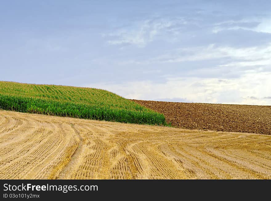 Agricultural composition