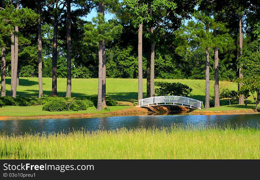 Peaceful pond and meadow with a bridge. Peaceful pond and meadow with a bridge