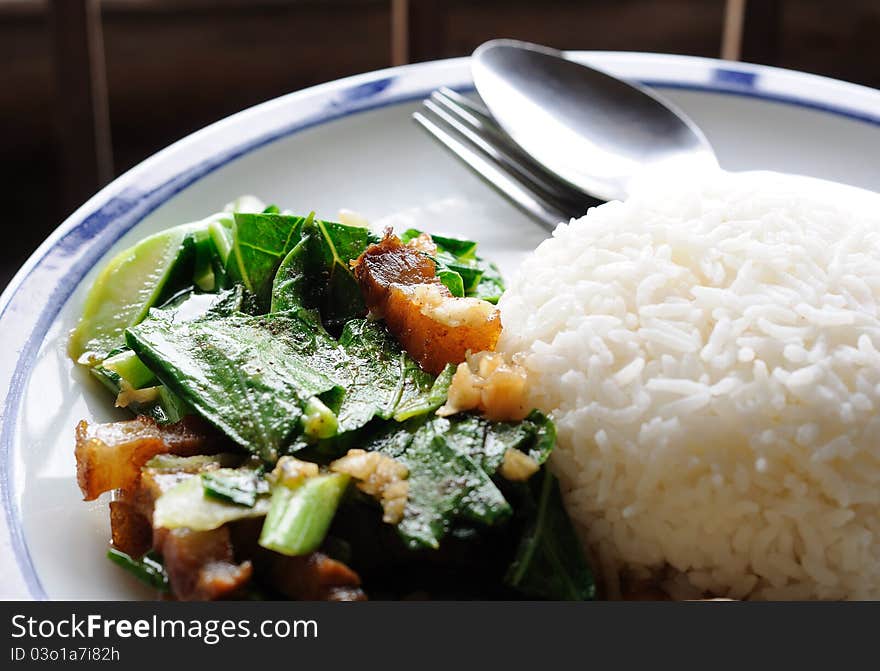 Plain rice deep fried spring with crispy pork