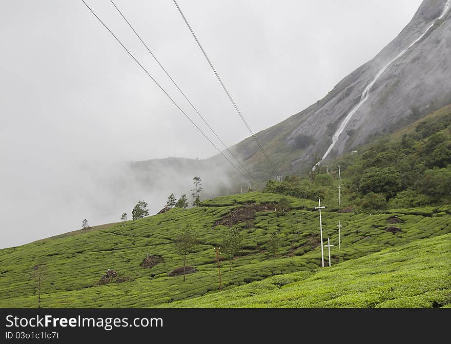 A water falls, half hidden in the mist, with a lush green tea estate in the foreground. A water falls, half hidden in the mist, with a lush green tea estate in the foreground.