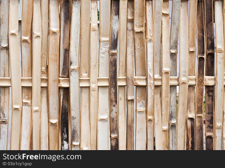 Bamboo Wall