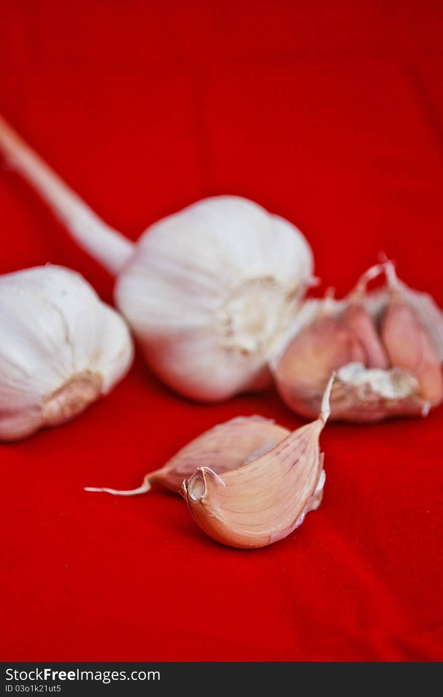 Garlic