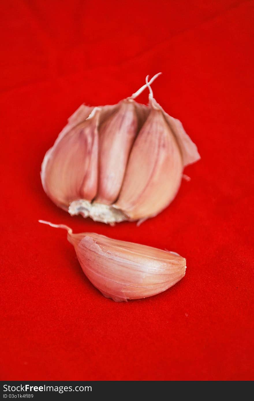 Garlic