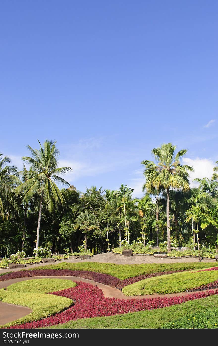 Flower Garden with clear sky background.