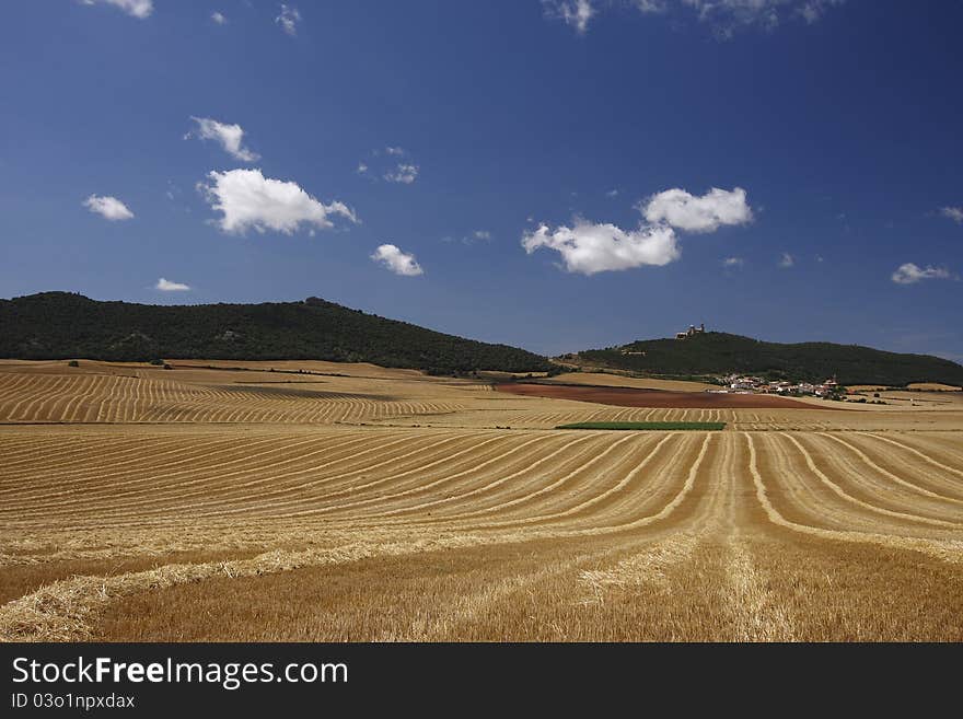 Lines in field in yellow. Lines in field in yellow