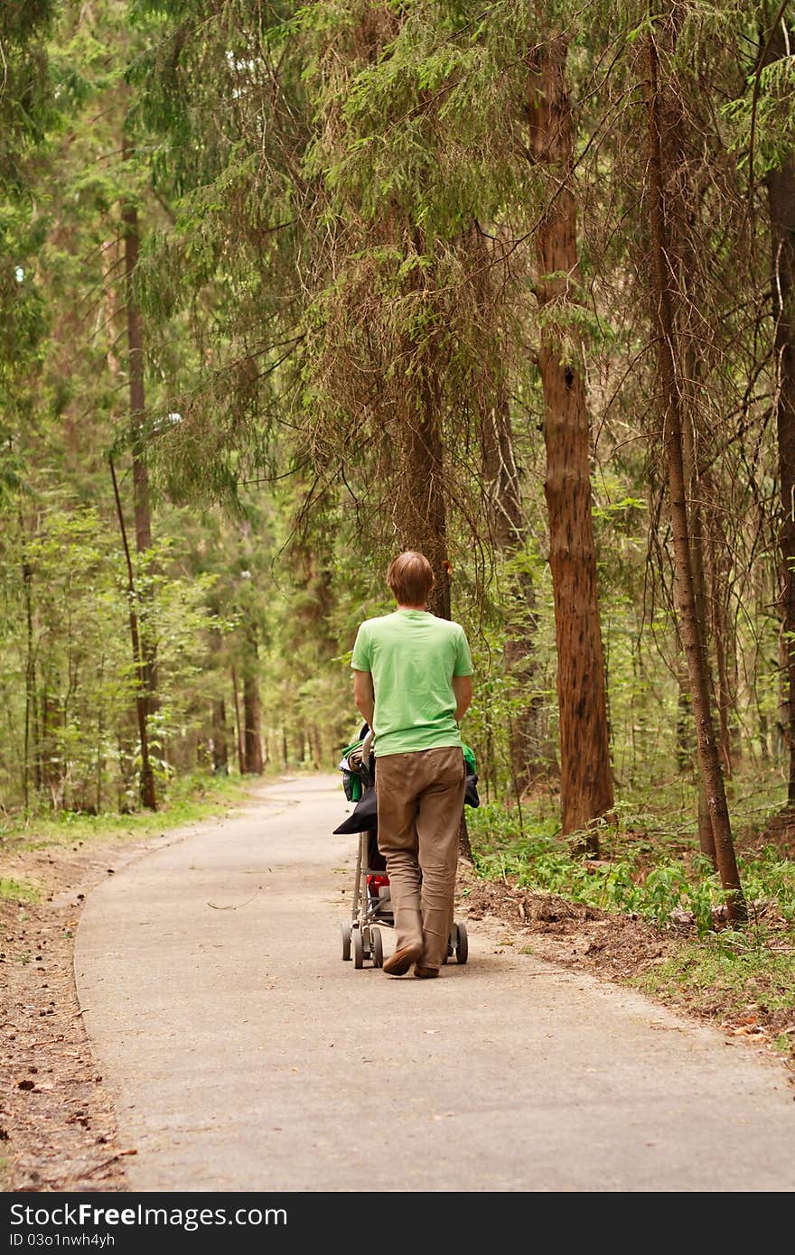 Father with baby in pram in summer nature. Father with baby in pram in summer nature