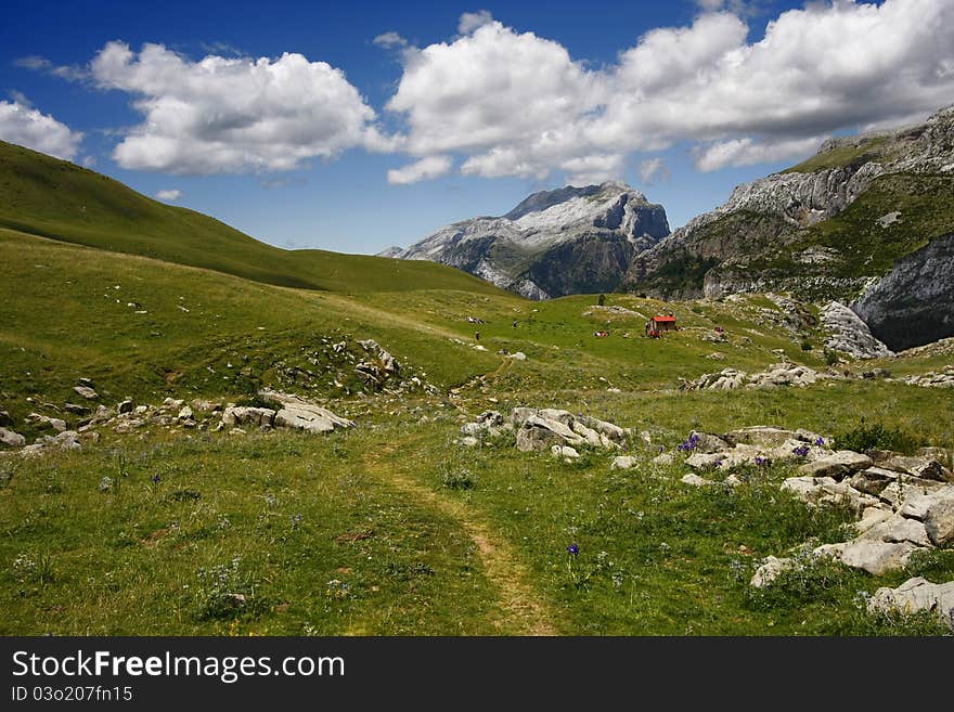 Enjoy Pyrenees