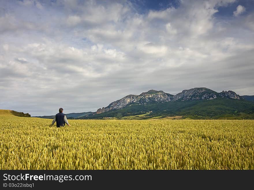 Young Farmer In Yellow