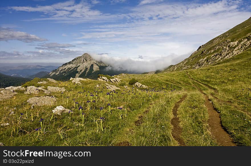 Nice hill in pyrenees