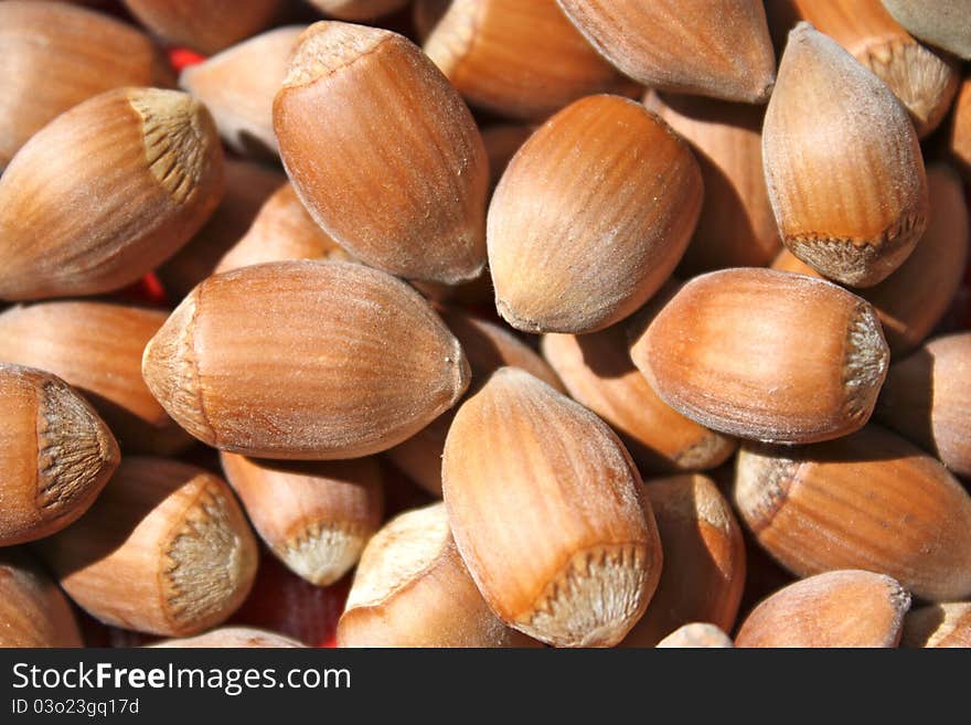 Harvest of fruits nuts