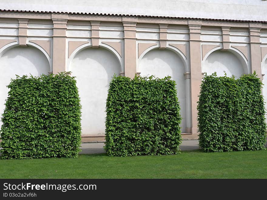 Castle garden with green bushes.