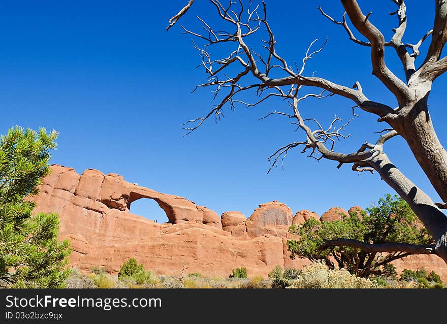 Strange rock formations at Arches National Park