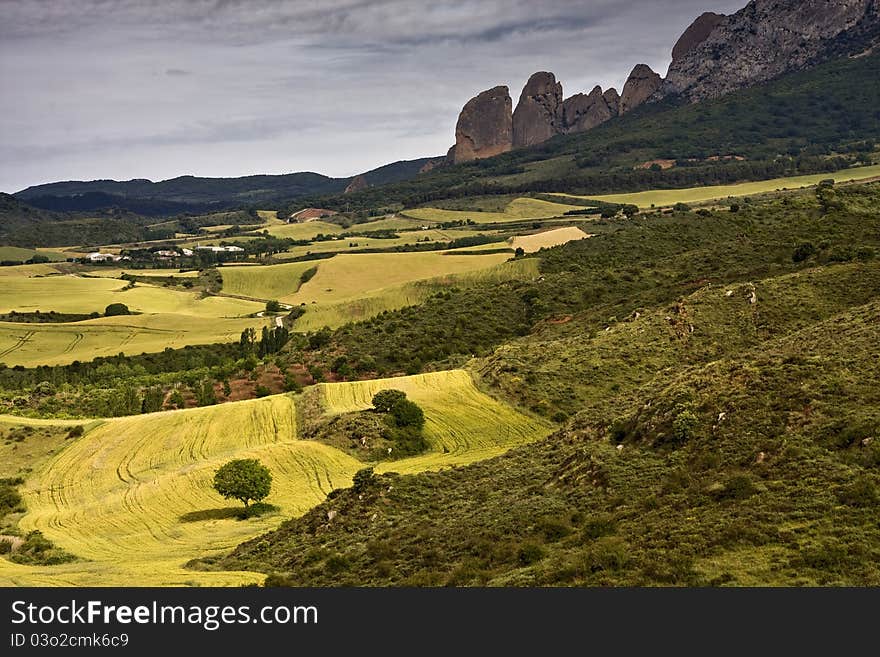 Fields of Navarre, in Europe. Fields of Navarre, in Europe