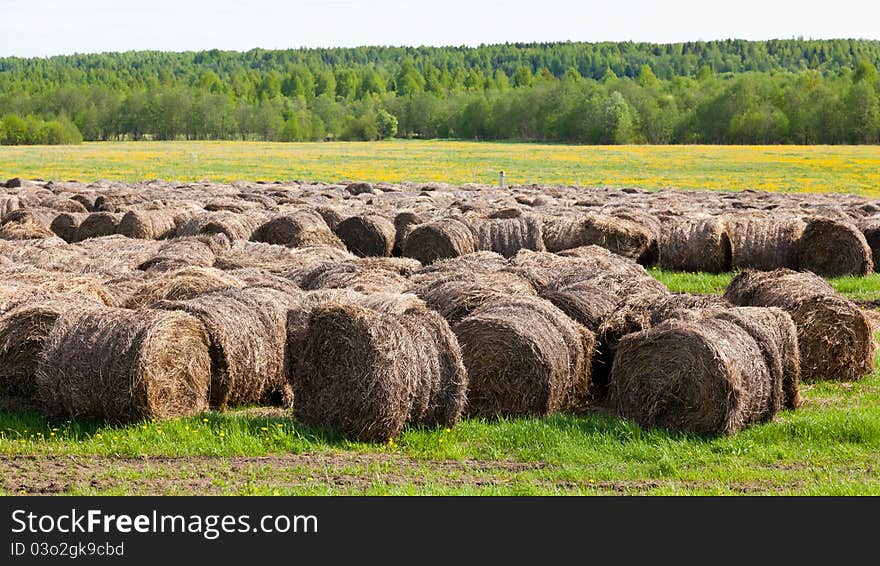 Straw bales