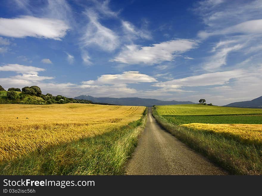 Yellow, Green And Blue